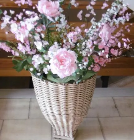 Casa Per Ferie Paola Di Rosa 2* Arta Terme