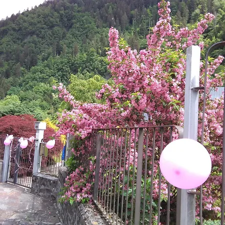 Hotel Casa Per Ferie Paola Di Rosa Arta Terme